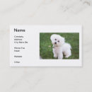 Recherche de bichons cartes visite Chien