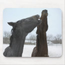 Recherche de deux chevaux tapis souris Nature