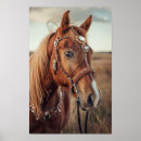 Suche nach texas landschaft poster Vintag