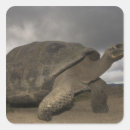 Suche nach ecuador aufkleber Galapagos