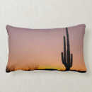Recherche de tucson coussins Désert