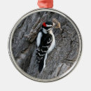 Recherche de animaux de forêt ornements Toute personne