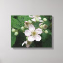 Suche nach frucht leinwandbilder Blumenreich