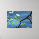 Suche nach zweigen poster leinwandbilder Blume