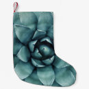 Recherche de plantes chaussette de noël Arrière plan