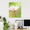 Suche nach kosmos poster Modern