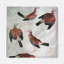 Suche nach album magnete Vogel