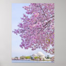 Suche nach kirschbaum poster Blume