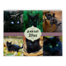 Recherche de chat noir calendriers Mignon