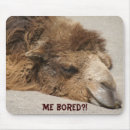 Suche nach bohrt Humor