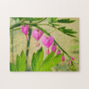 Recherche de asiatiques puzzles Rose