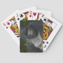 Suche nach gorilla spielkarten Gefährdet
