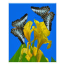 Recherche de canna posters Fleurs