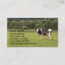 Recherche de vache holstein cartes visite Laiterie