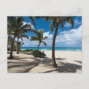 Recherche de palm tree cartes postales Paysage
