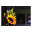 Suche nach landschaftliche natur poster Flora