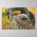 Recherche de framed posters Girafe