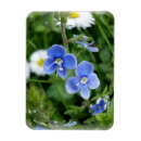 Suche nach naht magnete Blume