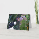 Recherche de marcheurs vœux cartes Chiot