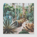 Recherche de majorelle cartes postales Cactus