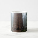 Recherche de sherman tasses Nature