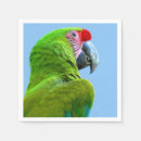 Recherche de perroquet serviettes Nature