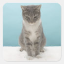 Suche nach teppich aufkleber Spaß