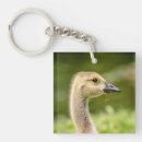 Recherche de oie porteclés Animal