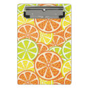 Recherche de agrume porte blocs Lumineux