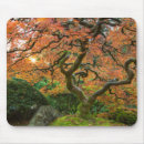 Suche nach japanischer garten mousepads Ahorn
