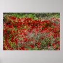 Suche nach anemonen kunst Rot