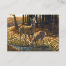Recherche de boire cartes visite De