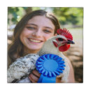 Suche nach geflügel fliesen Huhn