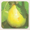 Suche nach birnen untersetzer Frucht