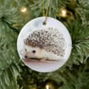 Suche nach baby igel ornamente Klein