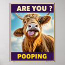 Recherche de highland cow posters Vache de montagne