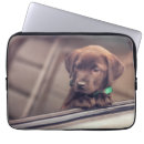 Suche nach schokolade laptop schutzhüllen Hund