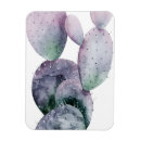 Suche nach kaktus magnete Tropisch