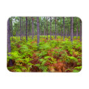 Suche nach farbbild magnete Horizontal