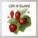Suche nach rote erdbeeren poster Für sie