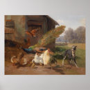 Recherche de coq vintage posters Paysage