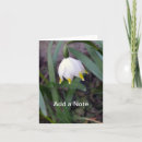 Suche nach pflanze kleine grußkarten Natur