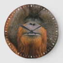 Suche nach pongo poster Hominidae