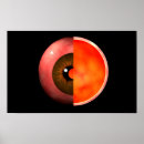 Suche nach prozesse poster Illustration