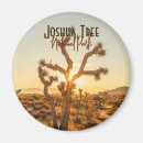 Suche nach joshua tree magnete Kakteen