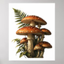 Suche nach rote pilze poster Wald