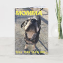 Suche nach die ihn leckt karten Niedlich