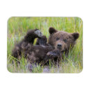Suche nach niedliches baby magnete Tierwelt