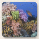 Suche nach korallenriff untersetzer Unterwasser