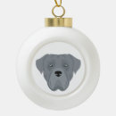 Recherche de corso de canne ornements Noël